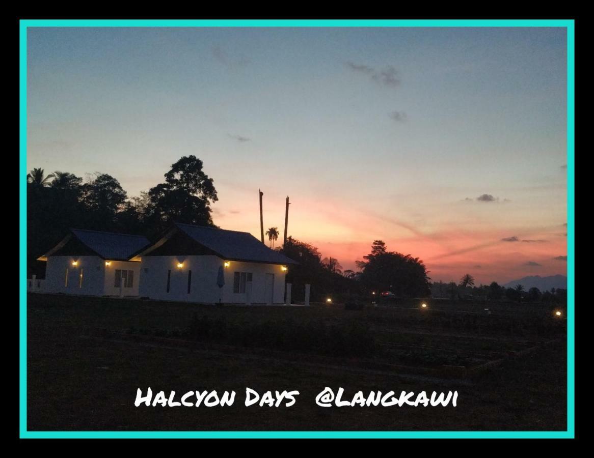Halcyon Days @ Langkawi Leilighet Pantai Cenang  Eksteriør bilde