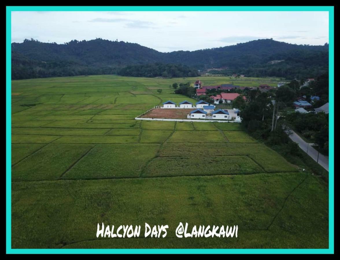Halcyon Days @ Langkawi Leilighet Pantai Cenang  Eksteriør bilde
